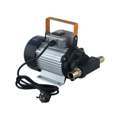 750w 220v Portable Diesel Transfer Pump 550w Kerosene Electric Refueling